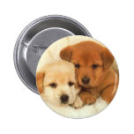 puppies_1 pins