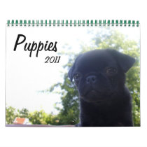 Puppies 2011 wall calendar