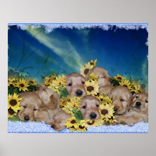 PUPPIES AND FLOWERS - GOLDEN RETRIEVER POSTER print