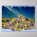 PUPPIES AND FLOWERS - GOLDEN RETRIEVER POSTER