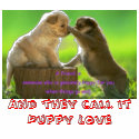 puppies, And they call it Puppy Love t-shirts by xwildxfirexgirlx puppies, And they call it Puppy Love t-shirts