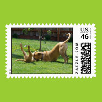 Puppies at play postage postage