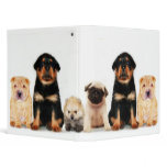 Puppies binder