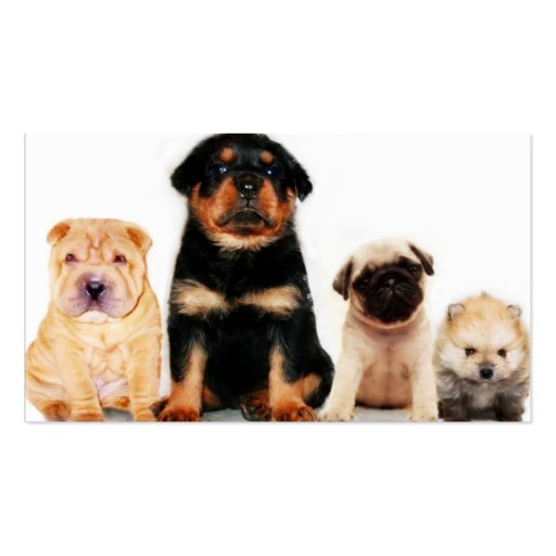Puppies Business card (front side)