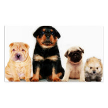 Puppies Business card
