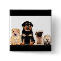 Puppies button