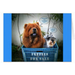 Puppies For Sale Cards