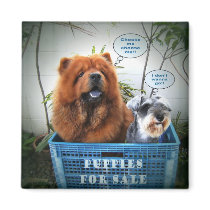 Puppies For Sale magnets by Heartworks Puppies For Sale magnets
