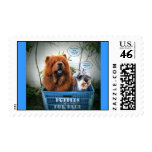 Puppies For Sale Postage Stamps