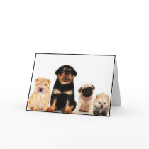 Puppies greeting card