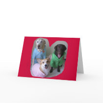 Puppies in Polos cards by Corgiandlab Puppies in Polos cards
