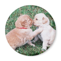 Puppies Kissing Magnet by TrevorTrent Puppies Kissing Magnet
