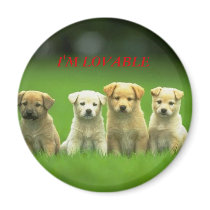 PUPPIES magnets by EXPERT97 PUPPIES magnets
