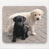 puppies mousepad by stregatto puppies mousepad