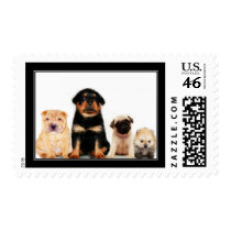 Puppies Stamp