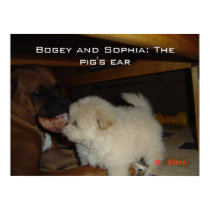 puppies posters