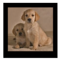 Puppies posters by cARTerART Puppies posters