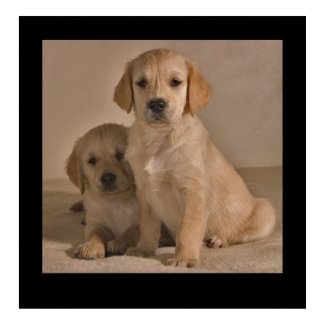 Puppies print