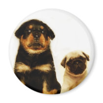 puppies round magnet by ritmoboxer puppies round magnet