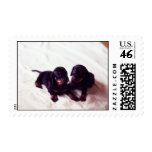 puppies stamp 2