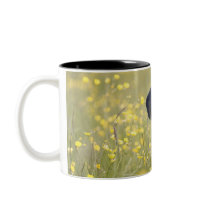 Puppy 16 Months 2 Mugs