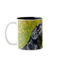 Puppy 16 Months Coffee Mug