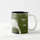 Puppy 3 mug