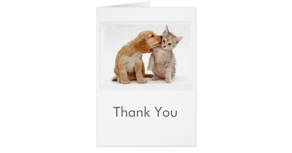 Puppy and Kitten Thank You Card | Zazzle