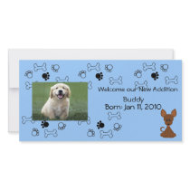 Puppy Announcement - Blue photo cards