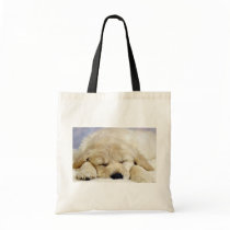 Puppy asleep bags
