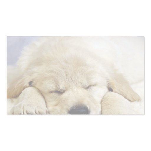 Puppy asleep business cards (back side)