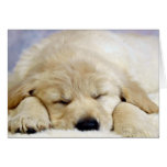 Puppy asleep card