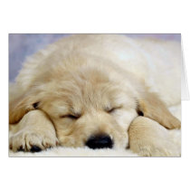 Puppy asleep card