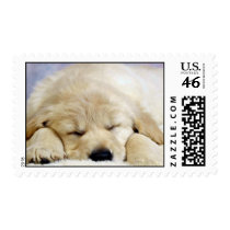 Puppy asleep postage