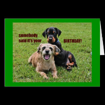 PUPPY BIRTHDAY GREETING CARD cards