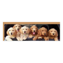 Puppy Bookmark, Plus Business Card Template