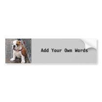 Puppy bumper stickers by DonnaGrayson_Photos Puppy bumper stickers