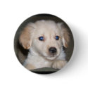 puppy button by milkey_way puppy button