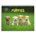 puppy calender calendars by annafleury puppy calender calendars