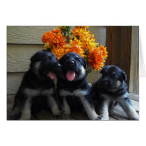 Puppy Card by KELLBELL535 Puppy Card