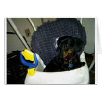 Puppy Cards