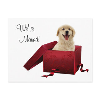 Puppy Change of Address Postcards