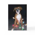 Puppy Christmas Card