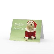 Puppy Christmas Card card
