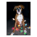 Puppy Christmas Card