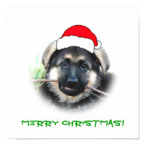 Puppy Christmas Poster posters