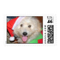 puppy christmas stamp