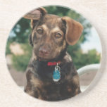 Puppy Drink Coaster