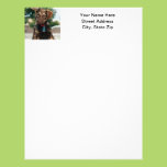 Puppy Customized Letterhead