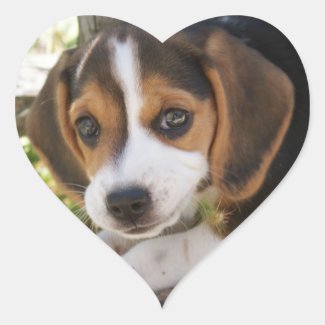 Puppy Dog Beagle Heart Stickers